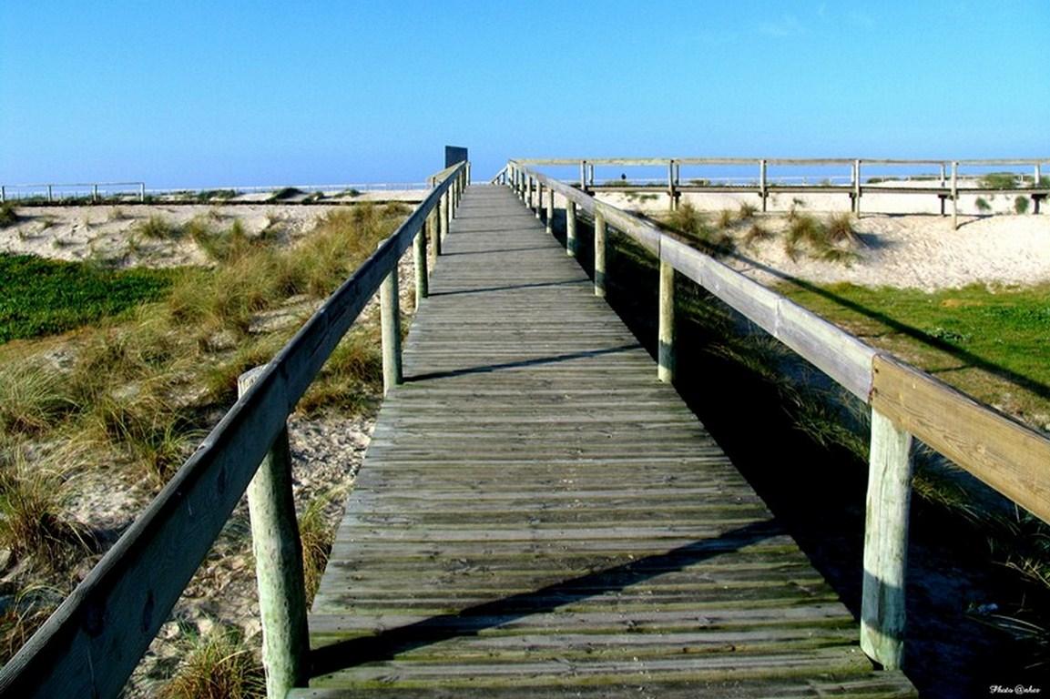Hotel Moliceiro Aveiro Kültér fotó